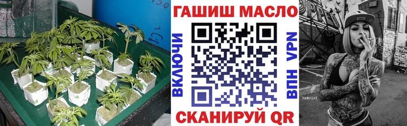 MEGA онион  Якутск  Дистиллят ТГК гашишное масло 